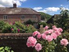 2 Bedroom Holiday Cottage near the Sea in Symondsbury, West Dorset, England
